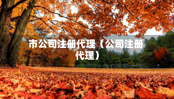 市公司注册代理（公司注册 代理）