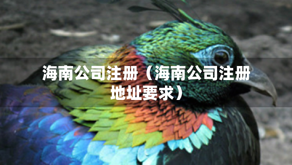 海南公司注册（海南公司注册地址要求）