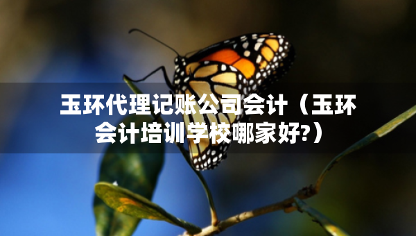 玉环代理记账公司会计（玉环会计培训学校哪家好?）
