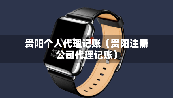贵阳个人代理记账（贵阳注册公司代理记账）