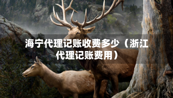 海宁代理记账收费多少（浙江代理记账费用）