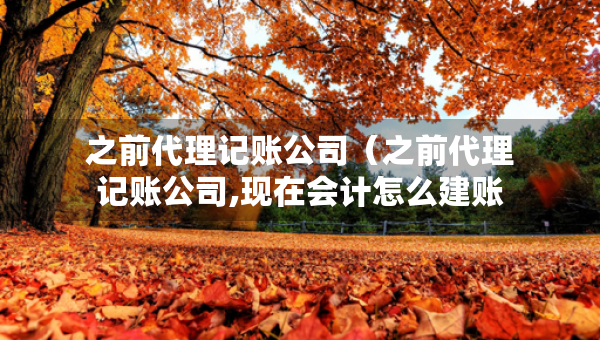 之前代理记账公司（之前代理记账公司,现在会计怎么建账）