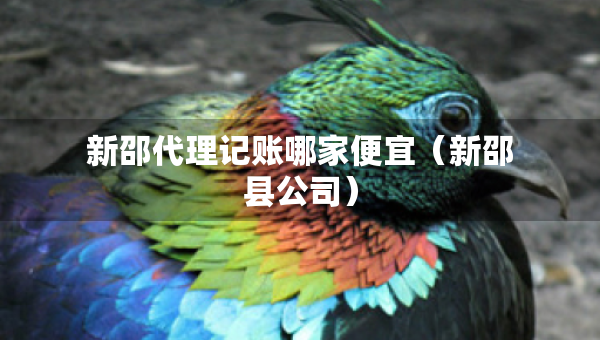 新邵代理记账哪家便宜（新邵县公司）