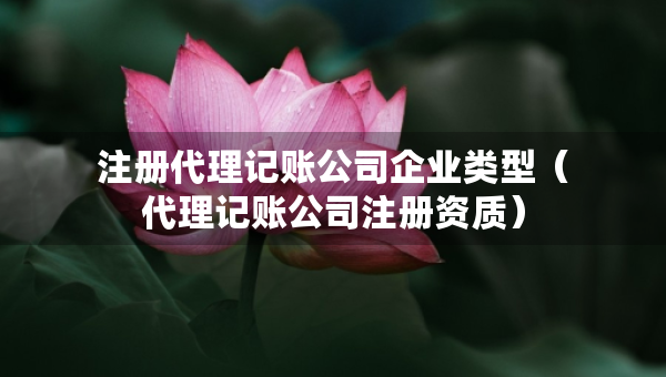 注册代理记账公司企业类型（代理记账公司注册资质）