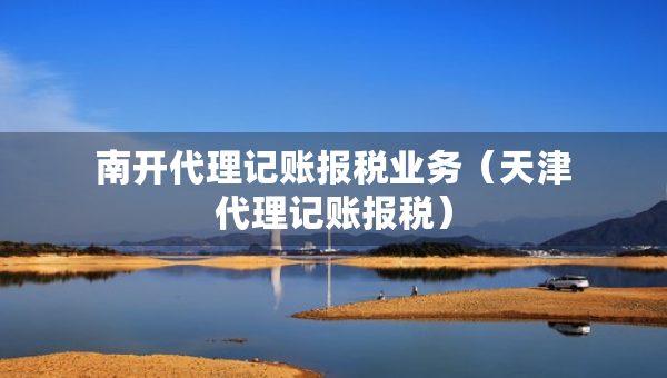 南开代理记账报税业务（天津代理记账报税）