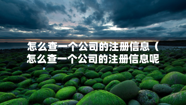 怎么查一个公司的注册信息（怎么查一个公司的注册信息呢）