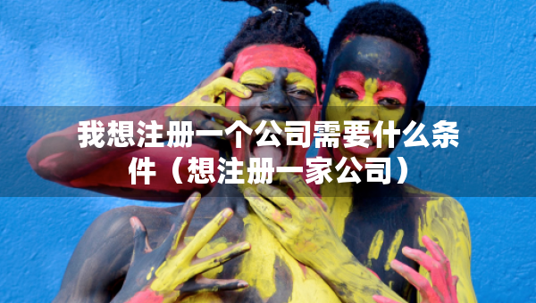 我想注册一个公司需要什么条件（想注册一家公司）