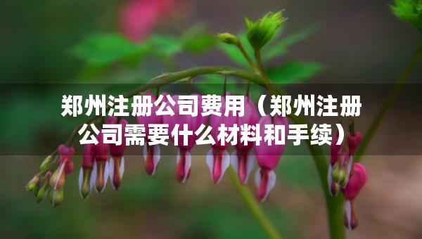 郑州注册公司费用（郑州注册公司需要什么材料和手续）