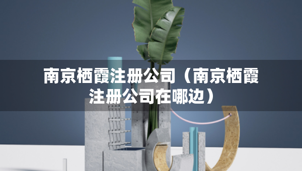 南京栖霞注册公司（南京栖霞注册公司在哪边）