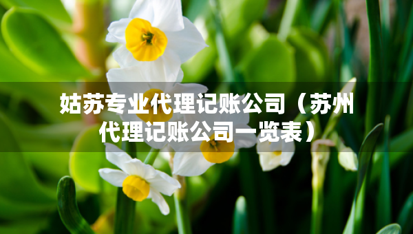 姑苏专业代理记账公司（苏州代理记账公司一览表）