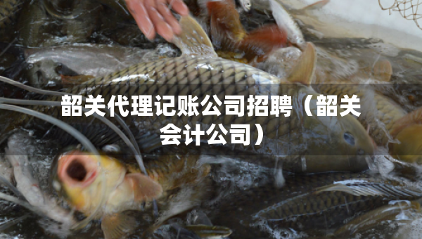 韶关代理记账公司招聘（韶关会计公司）