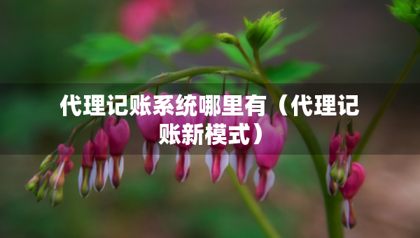代理记账系统哪里有（代理记账新模式）
