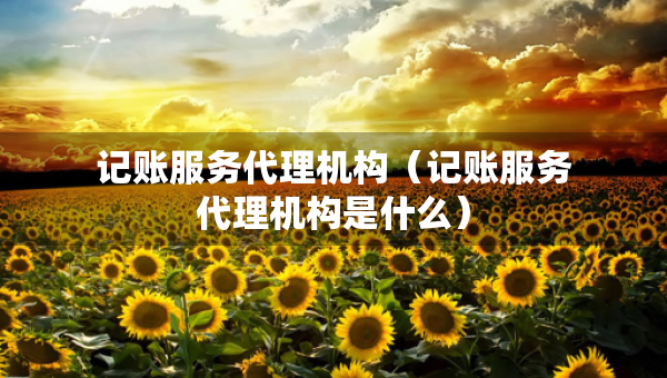 记账服务代理机构（记账服务代理机构是什么）