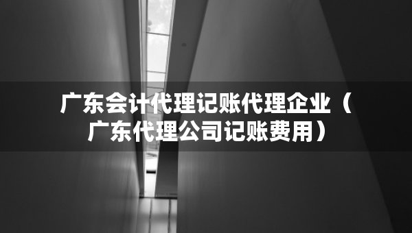 广东会计代理记账代理企业（广东代理公司记账费用）