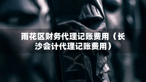 雨花区财务代理记账费用（长沙会计代理记账费用）