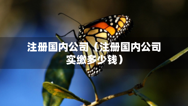 注册国内公司（注册国内公司实缴多少钱）