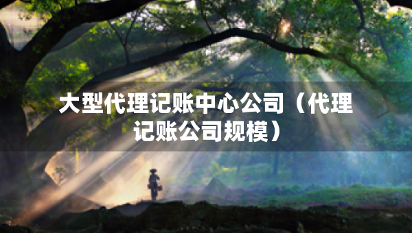 大型代理记账中心公司（代理记账公司规模）