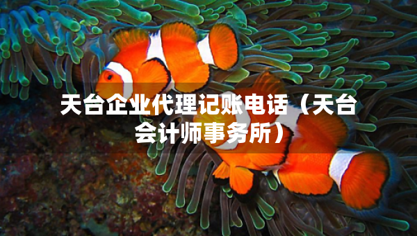 天台企业代理记账电话（天台会计师事务所）