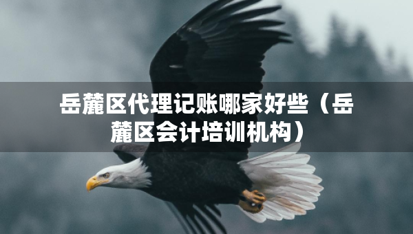 岳麓区代理记账哪家好些（岳麓区会计培训机构）