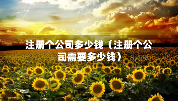 注册个公司多少钱（注册个公司需要多少钱）