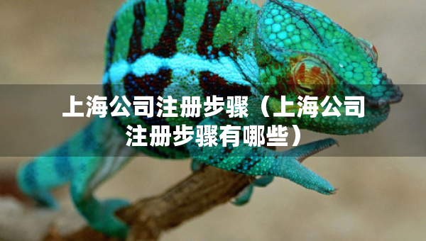 上海公司注册步骤（上海公司注册步骤有哪些）
