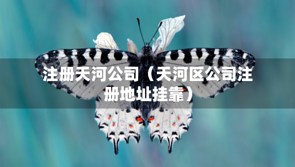 注册天河公司（天河区公司注册地址挂靠）