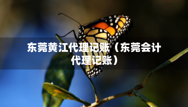 东莞黄江代理记账（东莞会计代理记账）