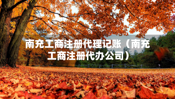 南充工商注册代理记账（南充工商注册代办公司）