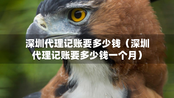 深圳代理记账要多少钱（深圳代理记账要多少钱一个月）