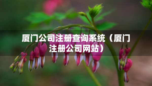 厦门公司注册查询系统（厦门注册公司网站）