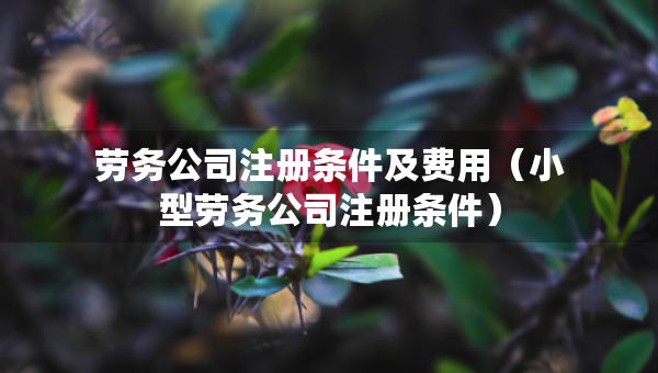 劳务公司注册条件及费用（小型劳务公司注册条件）