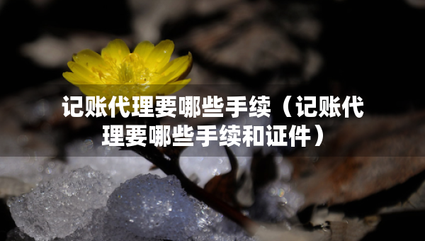 记账代理要哪些手续（记账代理要哪些手续和证件）