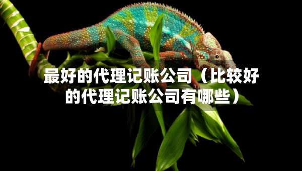 最好的代理记账公司（比较好的代理记账公司有哪些）
