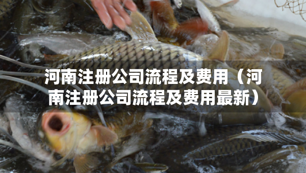 河南注册公司流程及费用（河南注册公司流程及费用最新）