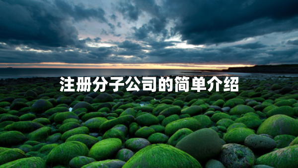 注册分子公司的简单介绍