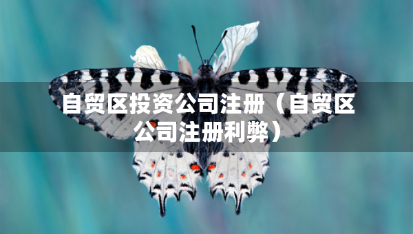 自贸区投资公司注册（自贸区公司注册利弊）