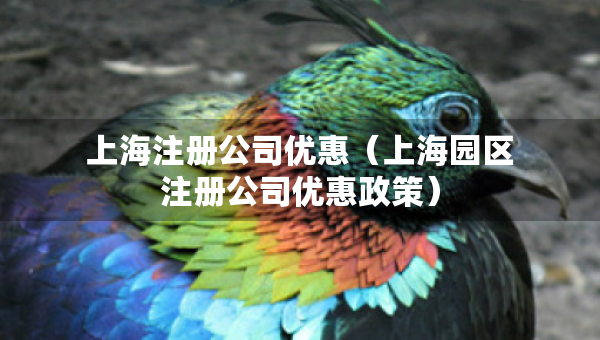 上海注册公司优惠（上海园区注册公司优惠政策）