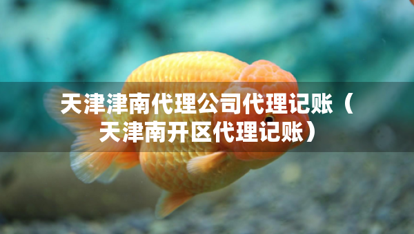 天津津南代理公司代理记账（天津南开区代理记账）
