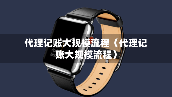 代理记账大规模流程（代理记账大规模流程）