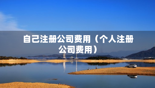 自己注册公司费用（个人注册公司费用）