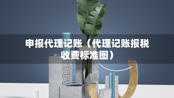 申报代理记账（代理记账报税收费标准图）