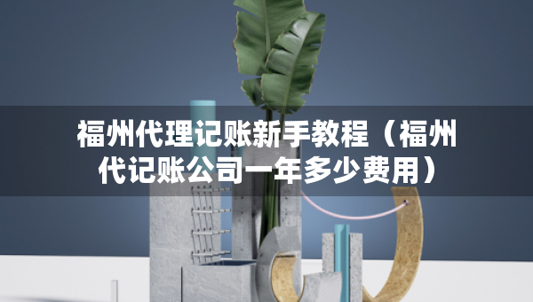 福州代理记账新手教程（福州代记账公司一年多少费用）