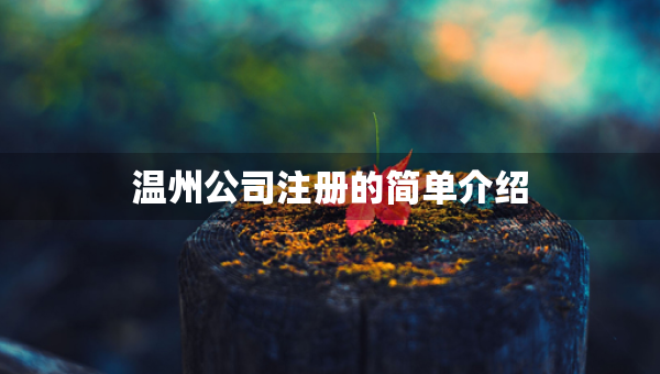 温州公司注册的简单介绍