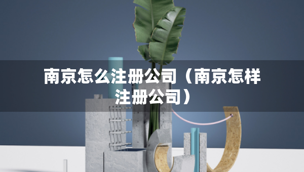 南京怎么注册公司（南京怎样注册公司）