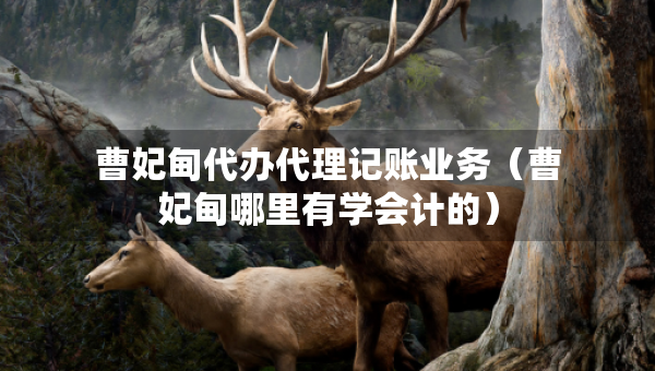 曹妃甸代办代理记账业务（曹妃甸哪里有学会计的）