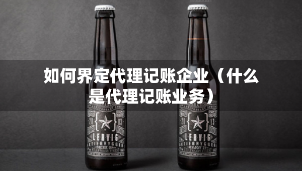 如何界定代理记账企业（什么是代理记账业务）
