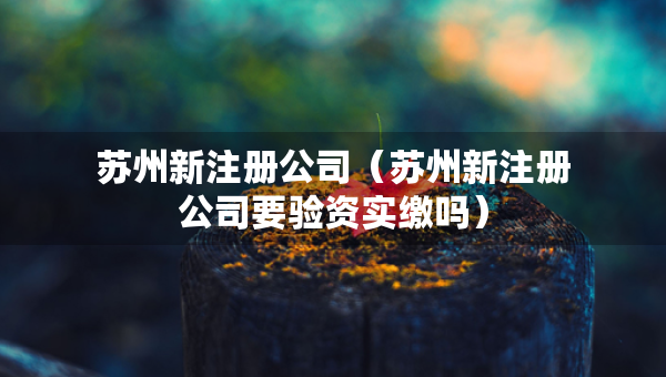 苏州新注册公司（苏州新注册公司要验资实缴吗）