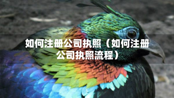 如何注册公司执照（如何注册公司执照流程）