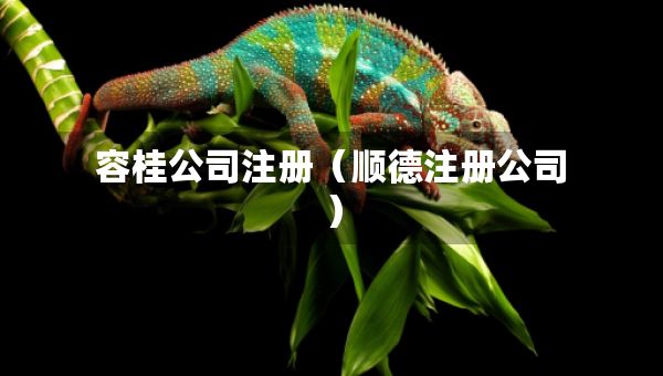 容桂公司注册（顺德注册公司）