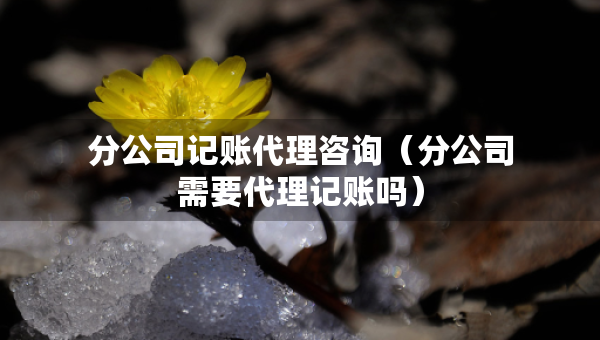 分公司记账代理咨询（分公司需要代理记账吗）
